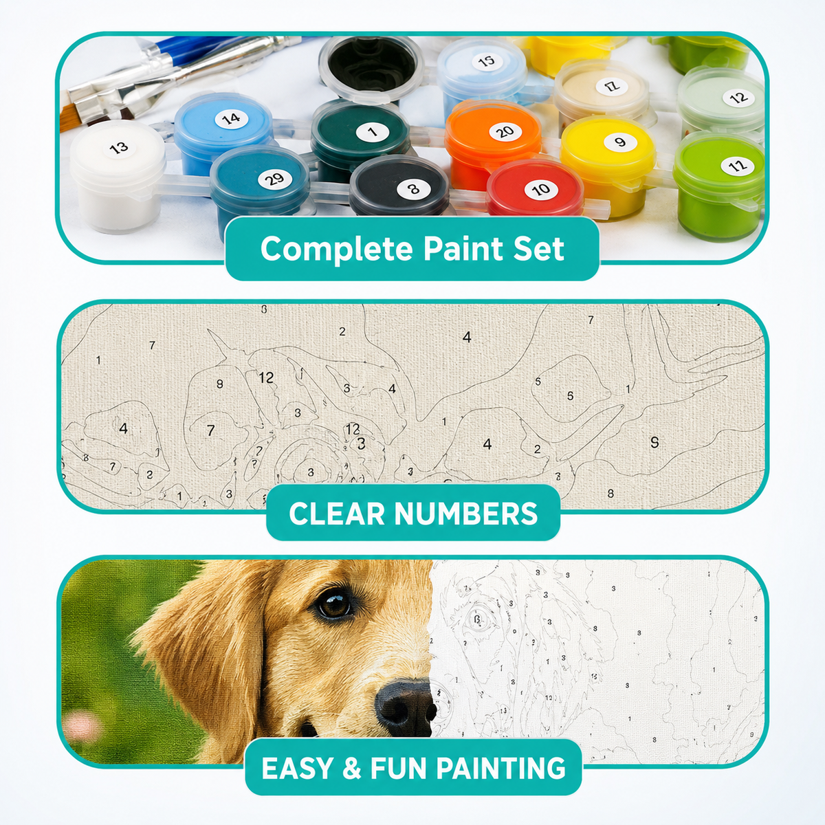 Custom Paint by Numbers Kit